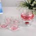 Ấm trà Nhiệt độ cao bong bóng thủy tinh Bộ ấm trà hoa Bộ ấm trà trái cây Bộ ruy băng 500ml Nồi ép Trà sứ