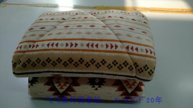 Foreign trade N series single thick quilt autumn and winter holiday style flannel winter quilt 150*200 student quilt about 45 catties