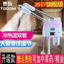 Taidong hydrating instrument steamer single tube hot and cold spray steam face sprayer beauty salon family cold spray machine