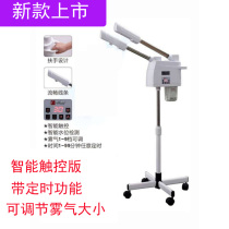 Steamer beauty salon nano hot and cold double spray hydrating instrument beauty instrument sprayer steam engine cold spray instrument hot spray