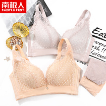 Antarctic underwear women without steel ring gathered on the upper adjustment bra women lace sexy traceless bra