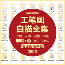  Gongbi painting white sketch manuscript High-definition picture collection material Song sketch characters flowers and birds Guanyin line draft copy electronic version