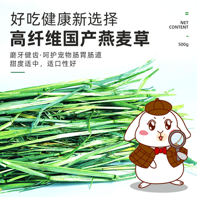 Owl grass 500g domestic dry oatgrass, a Dutch pig dragon cat grass, green oatgrass