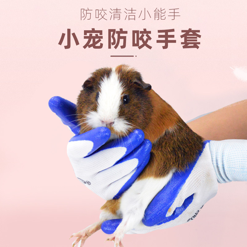 Hamster gloves anti-bite toys pet rat hedgehog small hamster chinchilla guinea pig guinea pig supplies anti-bite