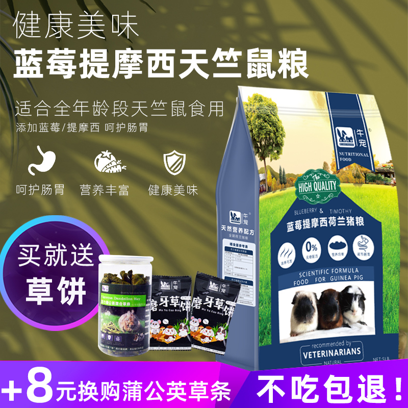 Cow Favorites Blueberry Mention Moshe Grass Dutch Pig Grain Geranium Grain Meme Staple Foods No Sugar Formula Guinea Pig Feed