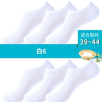 Белый 6 (Main Picture Model 6 Double)