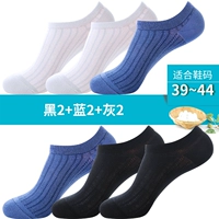 Black 2 Blue 2 Ash 2 (Main Picture Model 6 Double)