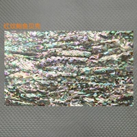 Красный узор раковина