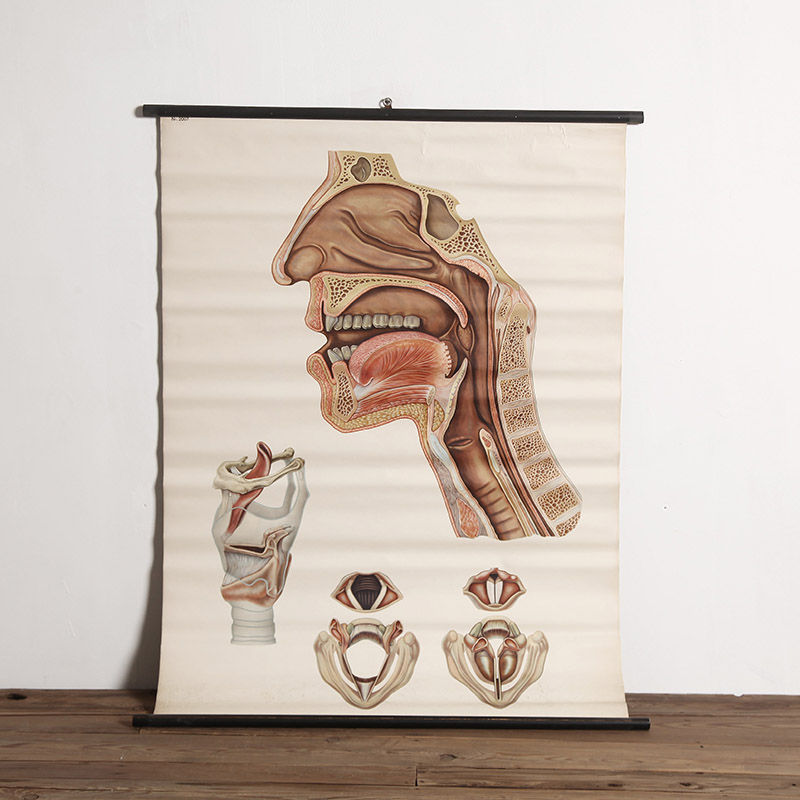 German 60s popular science scroll painting vintage retro design front decoration