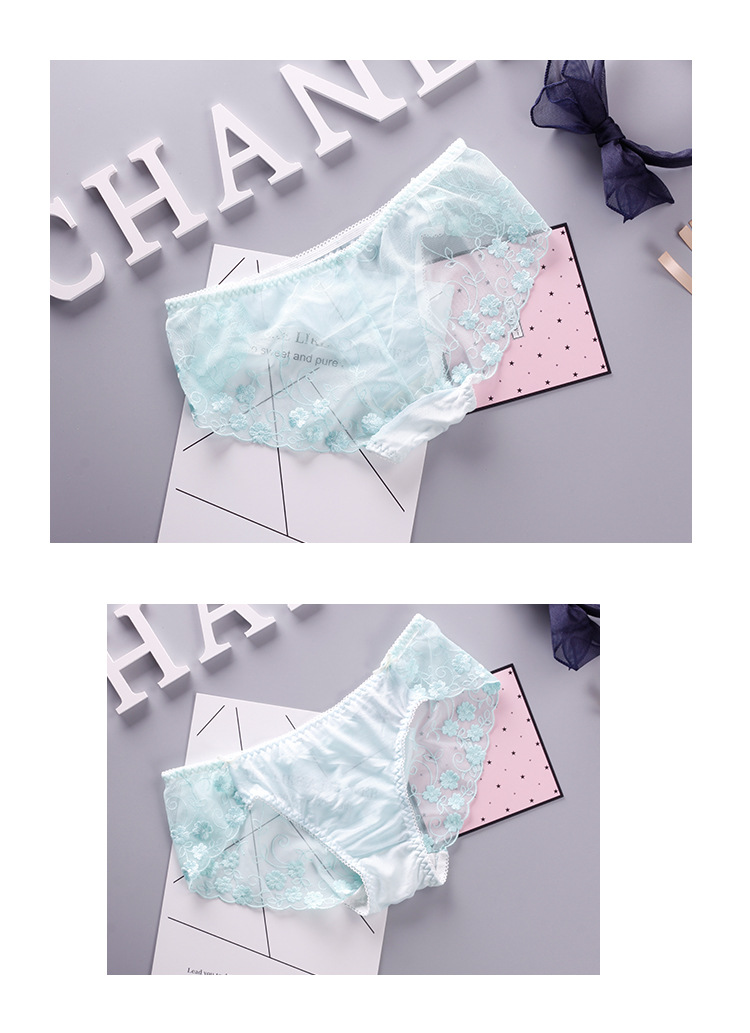 Thời trang Hoa thêu Bud Silk Sợi Sexy Phối cảnh Đồ lót Phụ nữ Thấp Eo Túi Hip Tóm tắt Hộp quà tặng Bao bì quần sịp con voi