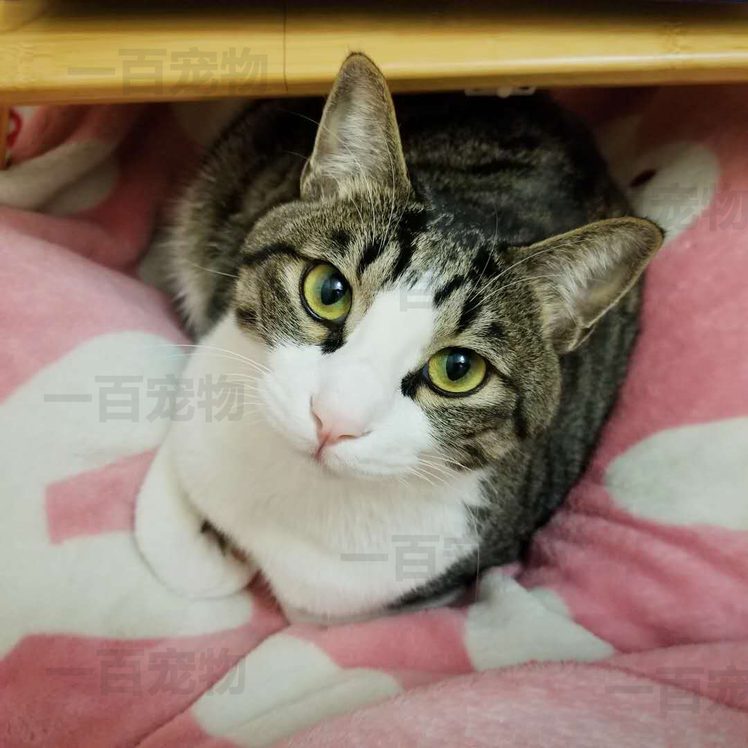 A link to the postage price difference 