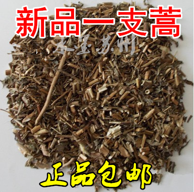 A Chinese medicine herb wild a artemisiningcentipede a centipede branch of a centipede