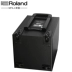 Loa Roland Roland WPA-1 Loa Bluetooth cầm tay Loa Street Road Show Square Dance Pull Bar Sound - Loa loa