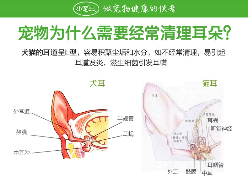 Tai nhỏ tai mèo nhỏ làm sạch tai Shu axit boric rửa tai boric axit viên đá tai dầu thú cưng rửa tai mèo điếc - Cat / Dog Beauty & Cleaning Supplies