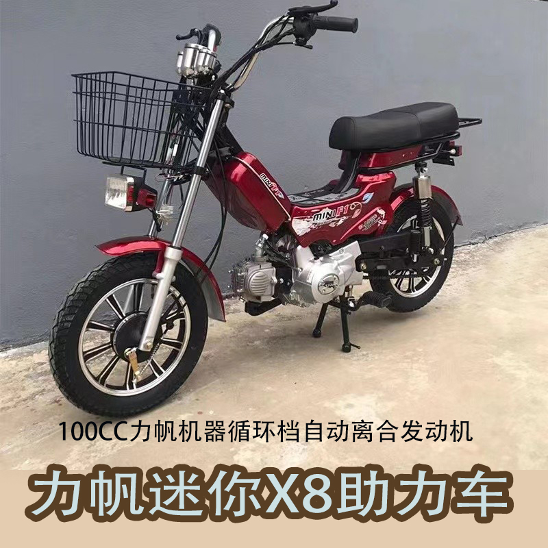 Lifan cycle gear engine fishing takeaway car fuel moped automatic clutch car with oil gauge