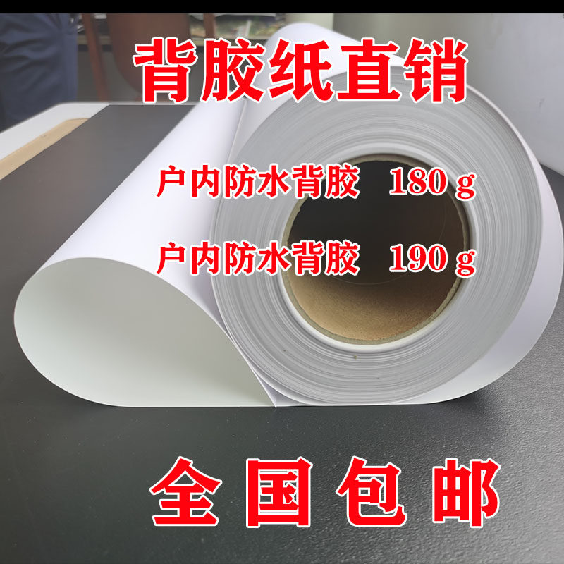 Matt Double Ink PP Back Gum Phase Paper Roll House 220 gr Waterproof Face Dye Ink Special No Frame Painting Photo Gallery