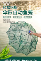 Shrimp net cage fishing net fishing net folding shrimp net fishing cage can only go in and out of rice field eel shrimp cage crab cage catch net bag