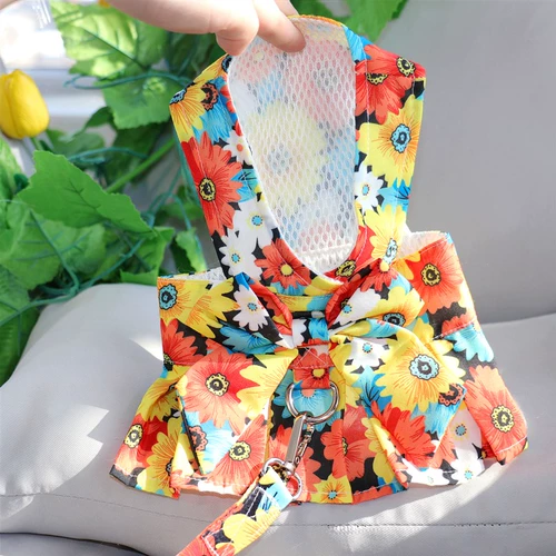 Тедди Баррин Январь Февраль, маленькая молочная собака собака, закрытая юбка для ветря