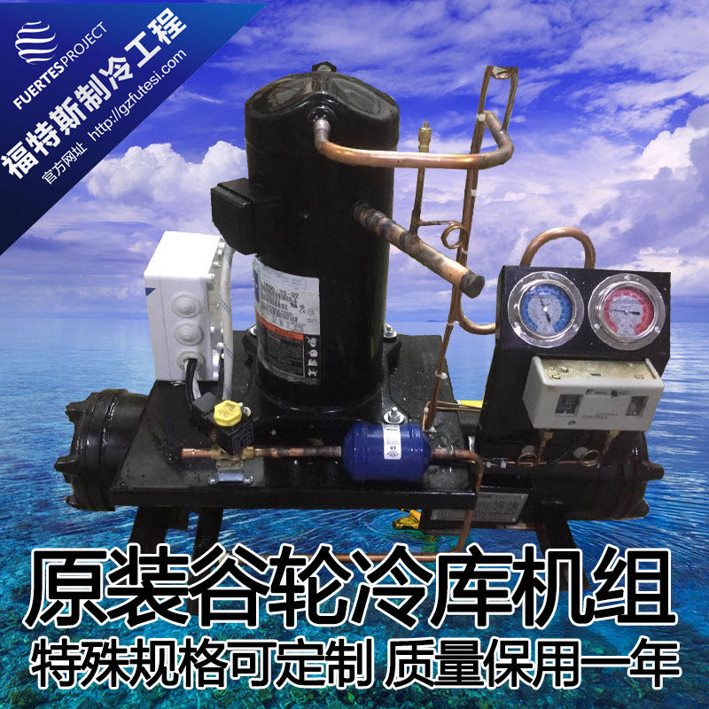 3P5P Original Loading Valley Wheels Cold Storage Freezer Group Water Cooled Refrigerated Depot Unit Freshness Depot Freezer Freezer Freezer Freezer Freezer