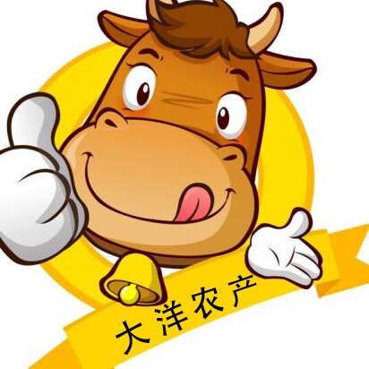 大洋农产30