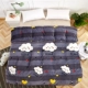 Mùa đông dày lông cừu san hô chăn đơn mảnh ấm sinh viên Falais cộng với nhung đơn flannel đôi chăn sang trọng chăn mỏng mùa hè