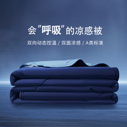 2025 New Deep Sleep Tencel Summer Quilt, Ice Silk Cooling Summer Quilt, Air Conditioning Quilt, Machine Washable, Thin Summer Quilt
