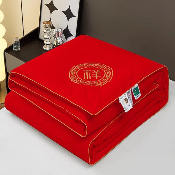 Silk Quilt 100% Mulberry Silk Cotton Air Conditioning Quilt Thickened Warm Winter Quilt Core for Dormitory Spring and Autumn Quilt All-Season Style