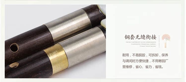 Bawu nhạc cụ Zizhu chéo cung Bawu G-F giới thiệu cho người mới bắt đầu Hộp da trường tiểu học Bawu cucurbit - Nhạc cụ dân tộc đàn cổ cầm giá rẻ