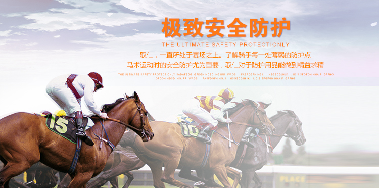 Article sports equestres - Ref 1381484 Image 11