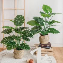 Simulation green plant small potted desktop creative ornaments Nordic home window balcony fake flower living room porch decoration