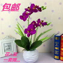 Simulation phalaenopsis living room dining table decoration Home decoration Plastic fake flower silk flower pot planting set floral art