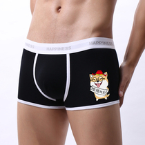 Mens cute chai dog puppies pure cotton flat angle pants personality trendy breathable four-corner pants 3 dress