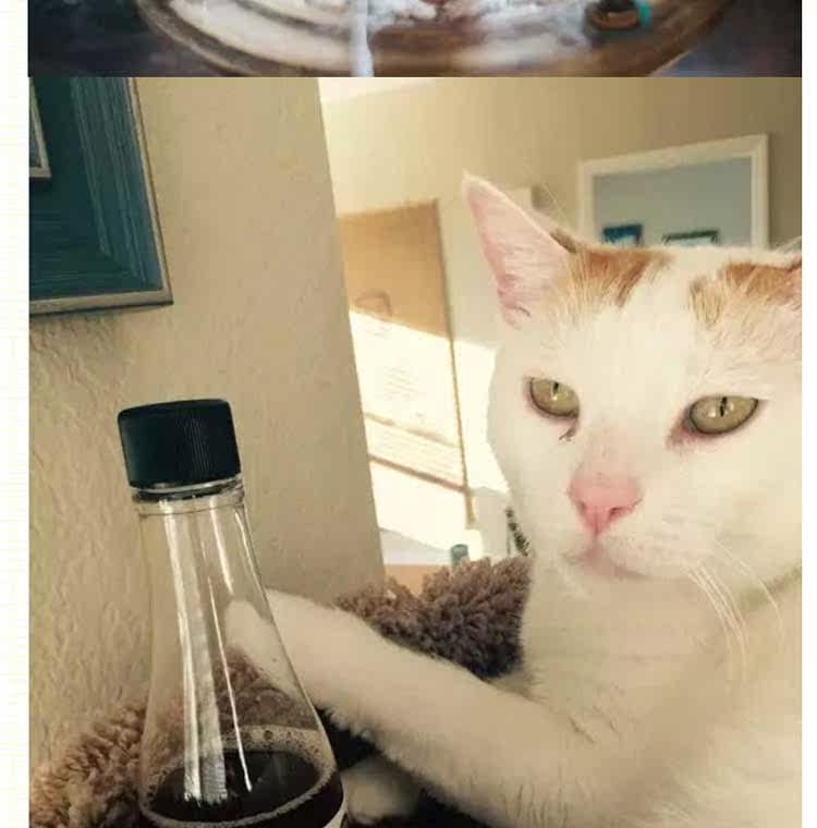 Apollo Peak进口猫薄荷功能性饮料无酒精猫酒