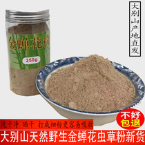 Dabel Hill 2022 new gold cicadas peanut powder ultra fine powder wild medicine materials 250g bad package replacement