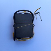 Supply Eternal Star 08AC igniter circuit board 