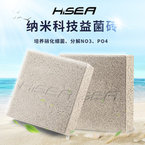 Sea Water Cylinder God Brick Nanotech Yeshivae Brick Filter God Brick Square Brick Fresh Water Seawater Fish Tank Aquatic universal