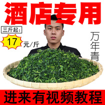 Farmhouse Wannian Green Vegetable Dried Vegetable 500g Olive Dehydrated Vegetable Heart Dry Dehydrated Vegetable