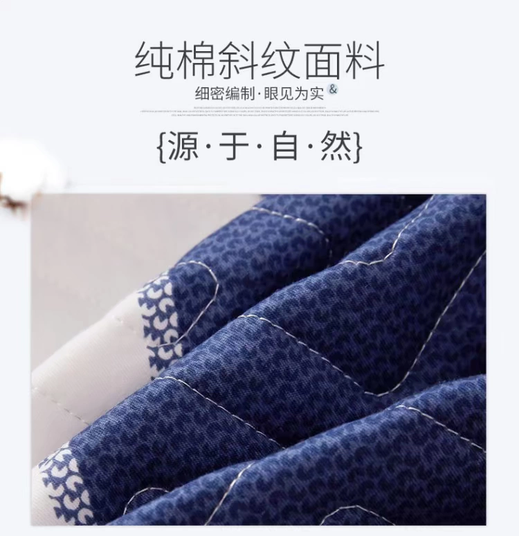 Váy cotton chống trượt quilted bed bed bed cover one Piece cotton dày apron bed cover bảo vệ ren - Váy Petti