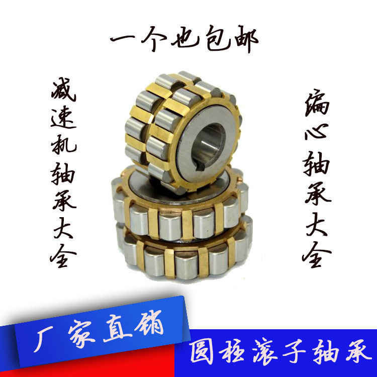 Tianma Reducer Ecclesiastical Bearing RN 205 206 307 308 309 312 222 219 328 M