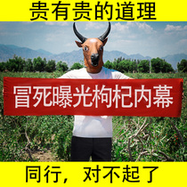 Lycium barbarum Ningxia premium 500g authentic natural Gouwang large grains wash-free Zhongning head stubble new natural red structure pure