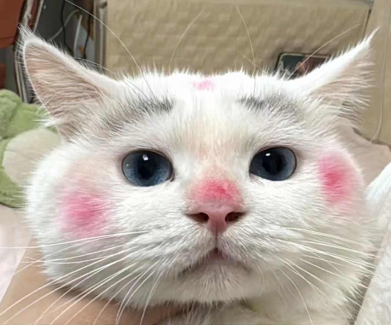 致美 美妆