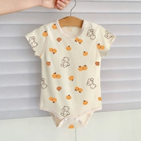 Голова Bian Orange Bear