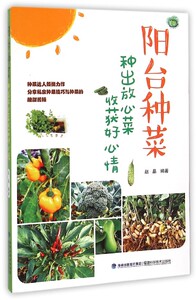 阳台种菜(种出放心菜收获好心情) 博库网