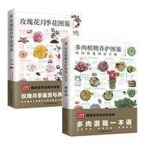 玫瑰花月季花图鉴+多肉植物养护图鉴套装（全2册） 博库网