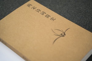 正版 两宋诗词简史 戴建业著 文学诗词古代古典诗歌史通俗易懂靠谱的两宋诗词入门基础书籍正版 澄明之境陶渊明新论同作者书