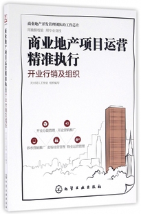 商业地产项目运营精准执行 开业行销及组织