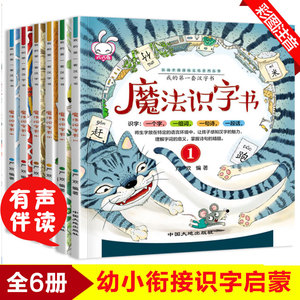 魔法识字书6册 宝宝早教认字卡片3-4-5-6岁学前幼儿阅读与识字书岁幼儿园全套学龄前儿童书籍幼小衔接全脑记忆小班中班教材用书
