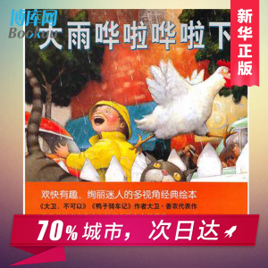 【金风筝奖】大雨哗啦哗啦下精装绘本 大卫·香农继 大卫不可以作者儿童读物0- 3-4-5-6岁儿童图画书绘本低幼儿小孩幼儿园启蒙亲子