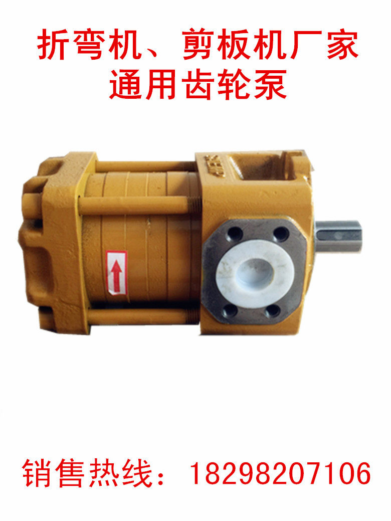 Gear Pump Shearing Machine Bending Machine Hydraulic Pump Oil Pump NBZ2-G10F Internal Gear Pump vid