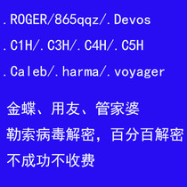 Ransomware virus decryption ROGEReightSodinokibi Youyou housekeeper mdf database repair